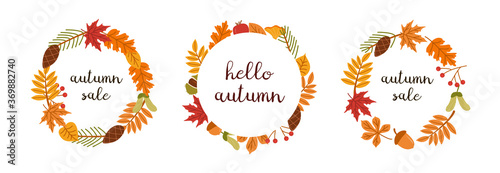 Set of circular frame, garland, wreath or border made of fallen dried leaves, acorns, cones. Hello Autumn, Autumn Sale lettering handwritten with cursive calligraphic font. Natural vector illustration