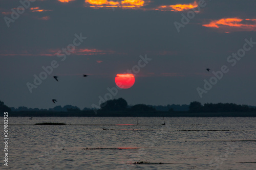 Sonnenaufgang im National Park Donaudelta, Rumänien photo