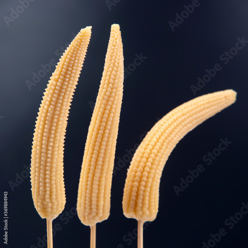 three pickled corn on a fork close-up on a dark blue background. food and vegetables