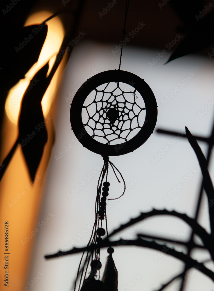 back lit dream catcher with ficus and aloe back lit dream catcher with ficus and aloe