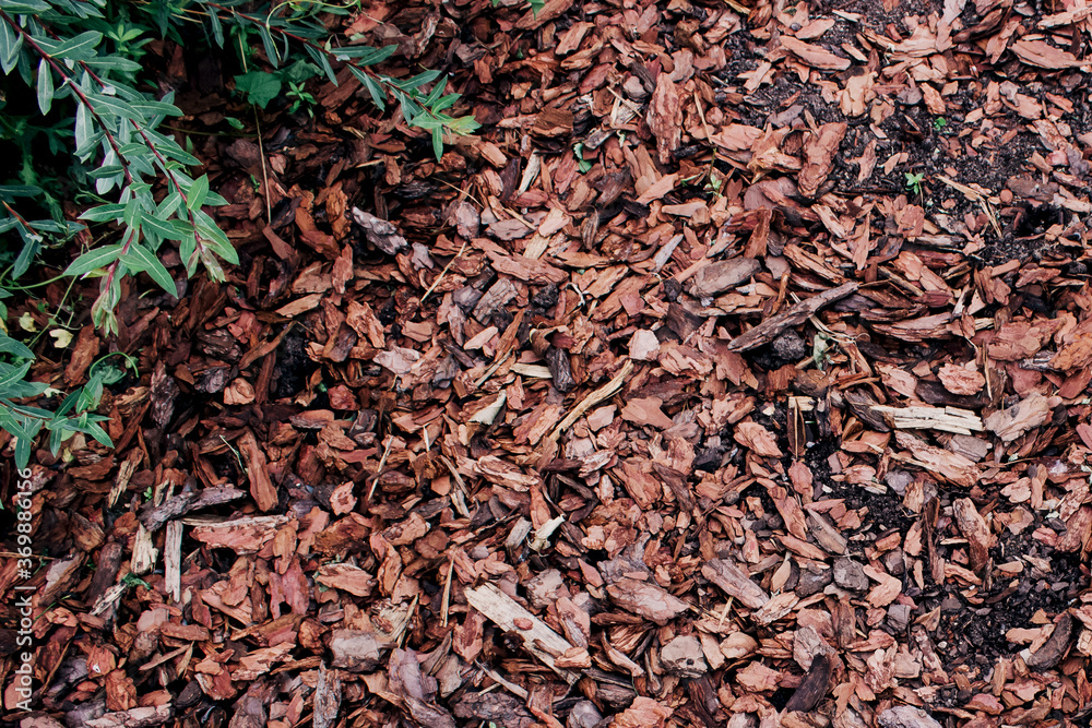 Abstract wood chips. Top view. Nature background.