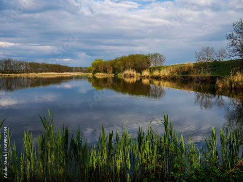 spring river landscape with cloudy sky and reeds