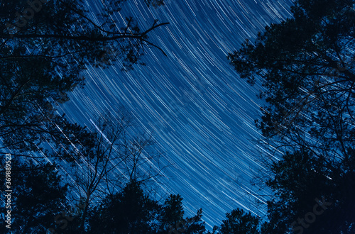 star trails in the night sky.  clear evening sky
