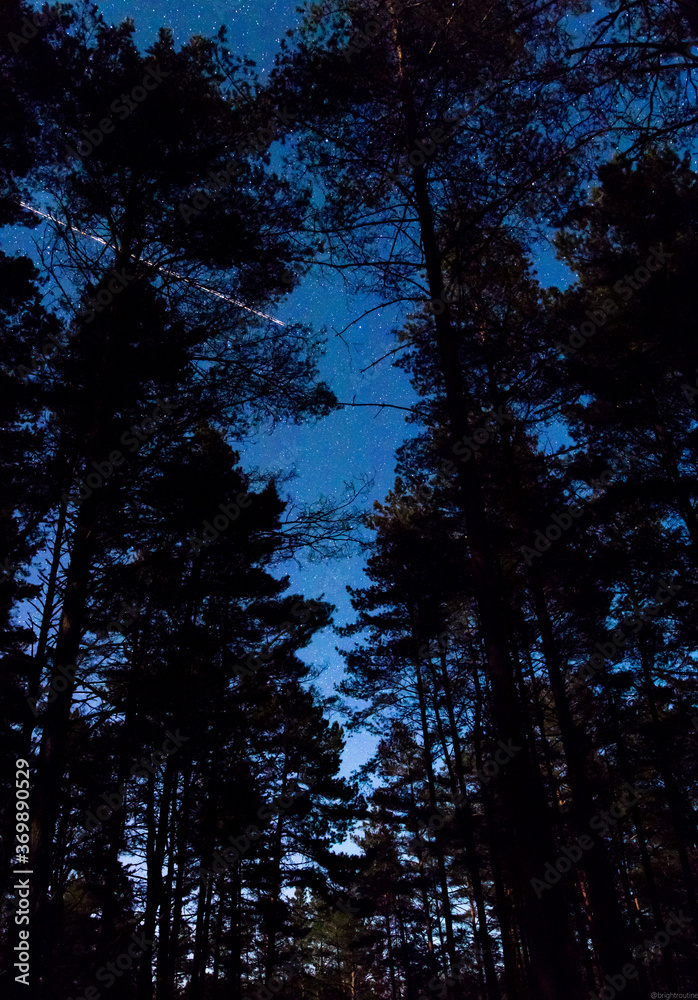 Obraz premium night clear sky full of stars. 