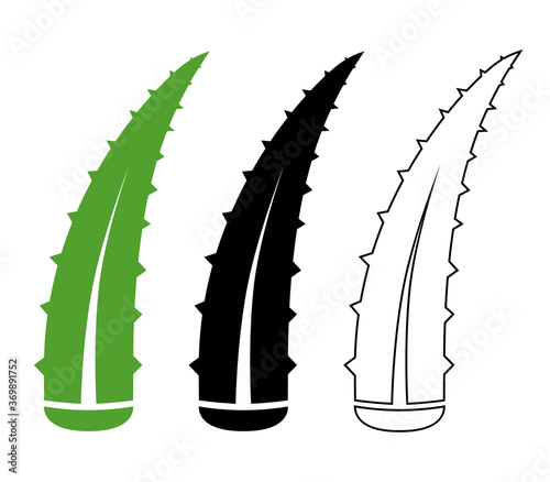 Aloe Vera icon. Succulent herbaceous plant used in medicine, cosmetology and food industry. Vector illustration isolated on a white background for design and web.