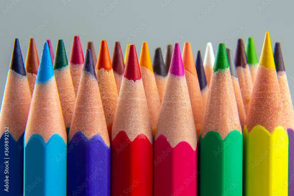 set of color pencils on a gray background. drawing tools. palette in creativity set of color pencils on a gray background. drawing tools. palette in creativity