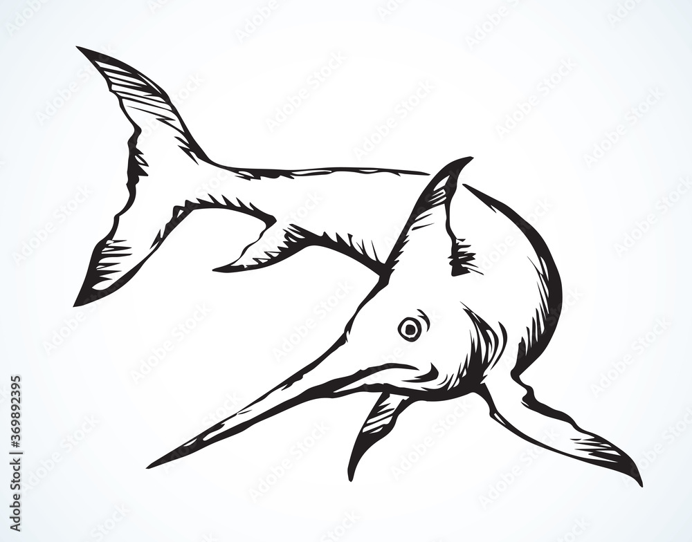 Fototapeta premium Swordfish. Vector drawing sea animal