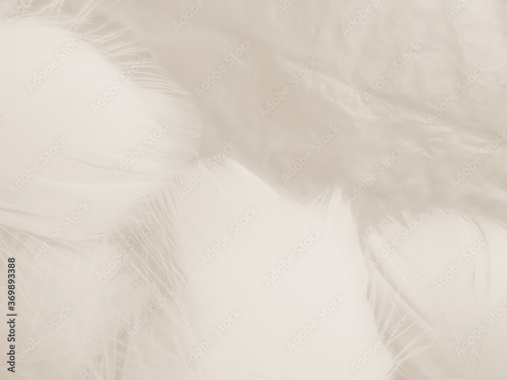Obraz premium Beautiful abstract orange and white feathers on white background, soft brown feather texture on white pattern background, yellow feather background