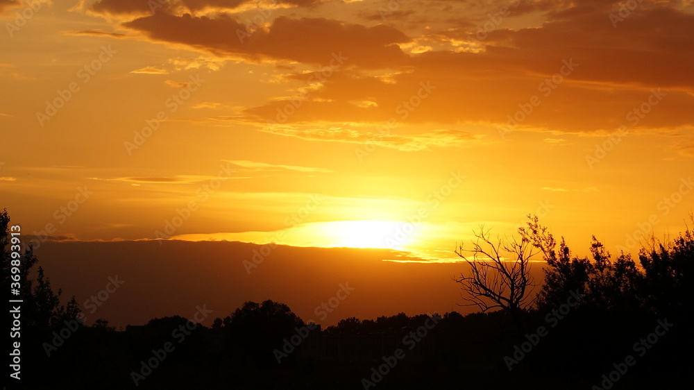 orange sunset against black silhouettes of trees