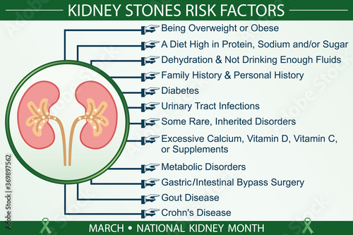 Kidney stones risk factors infographic vector. March national kidney month awareness month concept. Well-organized Eps 10 file.