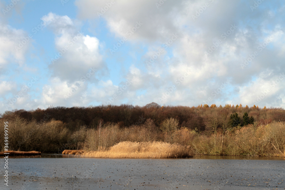View on a  beautiful lake in denmark scandinavia