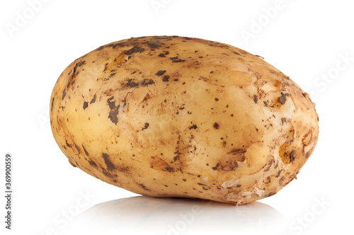 potato with pieces of soil on a white background