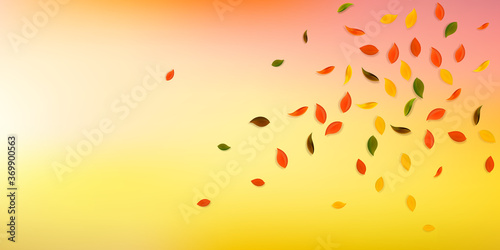 Falling autumn leaves. Red, yellow, green, brown r