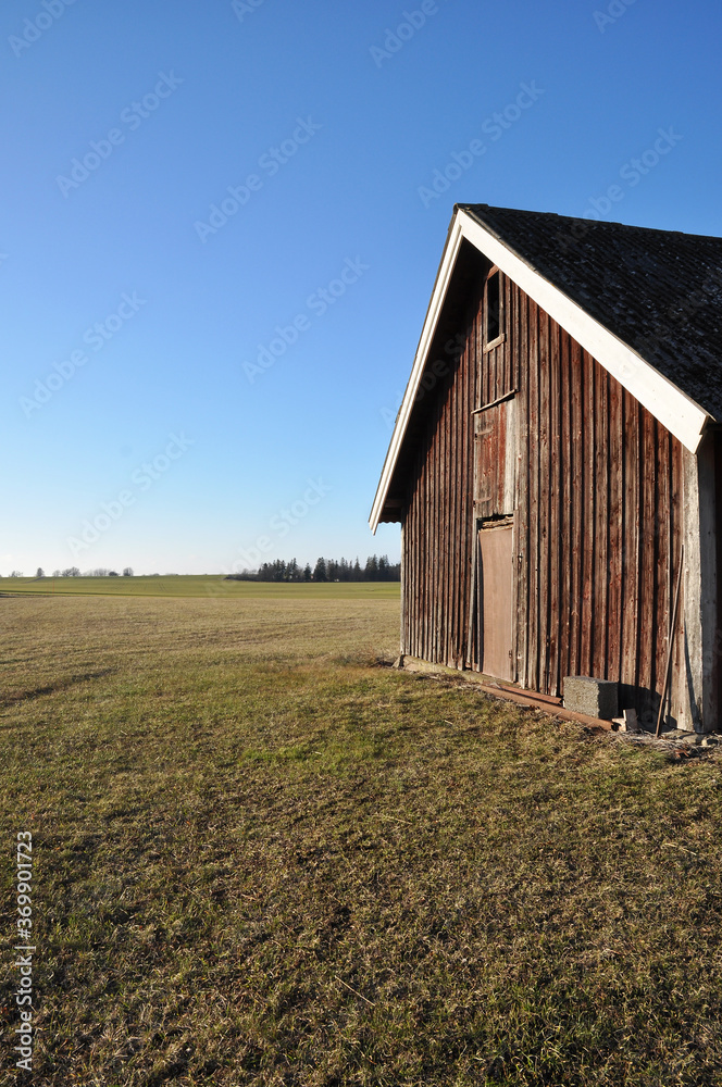 Obraz premium Old barn in spring