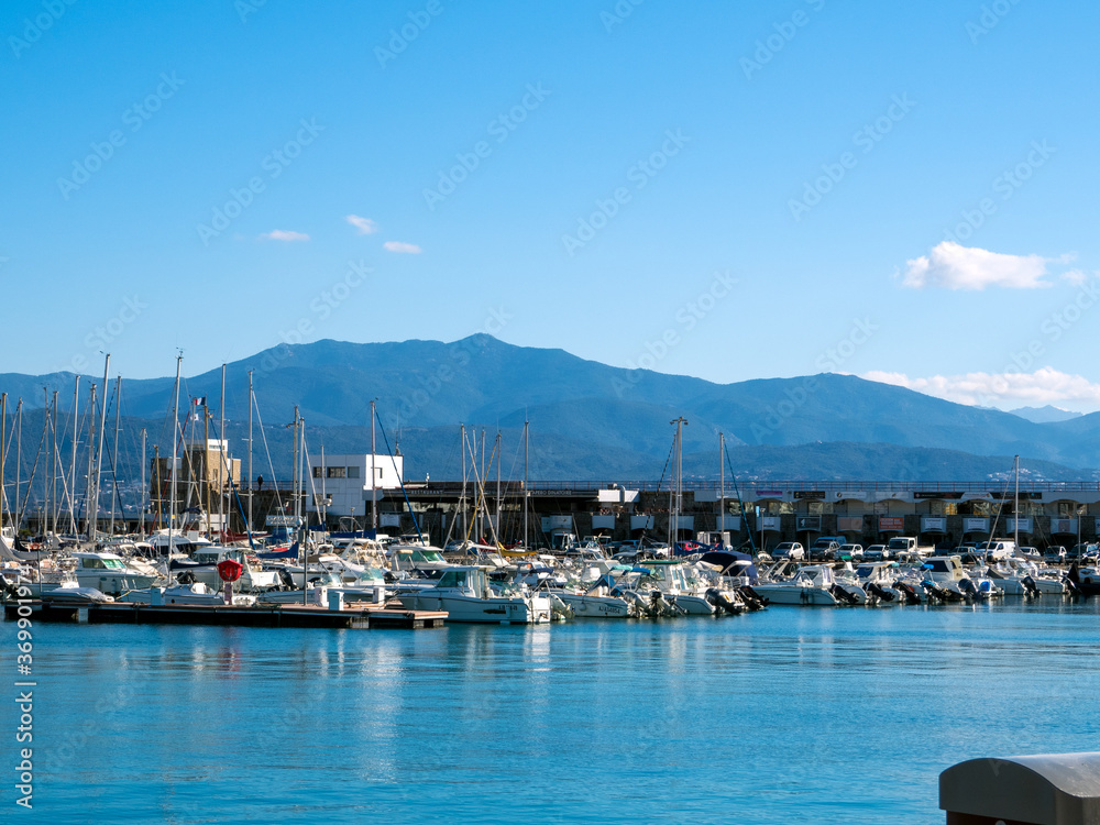 harbour of corsica