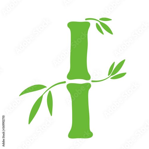 Green bamboo hand drawn element for card design on white, stock vector illustration