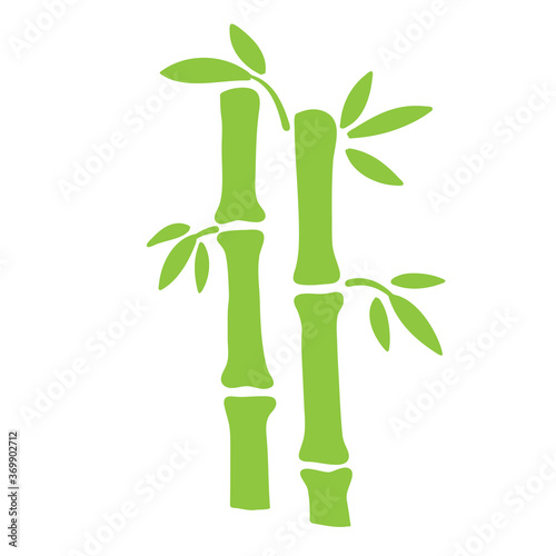 Green bamboo hand drawn element for card design on white, stock vector illustration