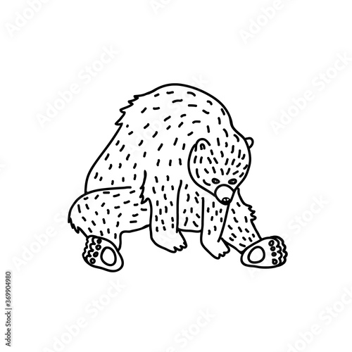 Sitting bear vector illustration. Hand drawn forest animal.