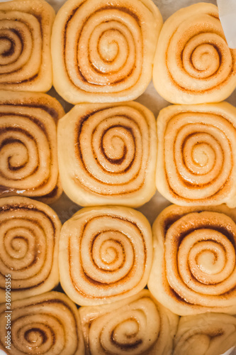 Delicious homemade raw cinnamon rolls bun dough in the rectangle shaped baking tray on the white baking paper. Top view.