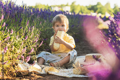 Cute little baby in a lavender field