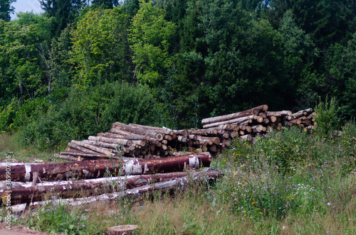 Logging and timber extraction, wood