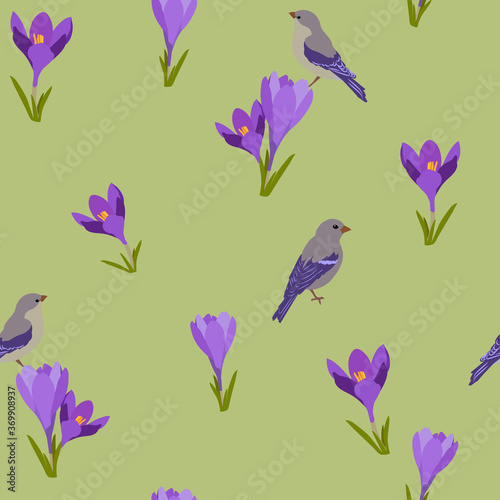 Seamless vector illustration with birds and crocuses