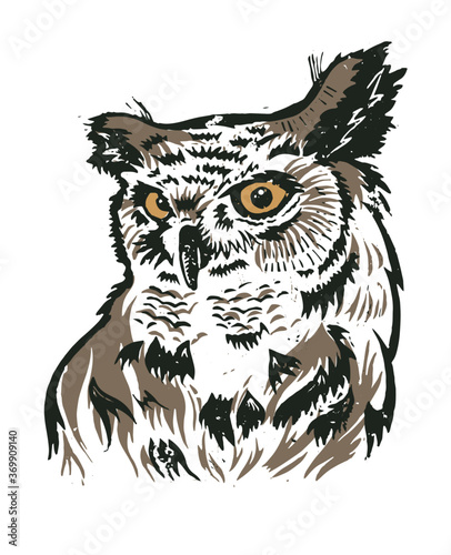 Illustration of an owl. Owl vector graphic. Scanned linocut with the image of an owl. Graphic illustration of an owl.