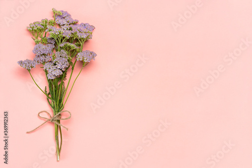 Bouquet of herbal flowers on pink background with copy space.
