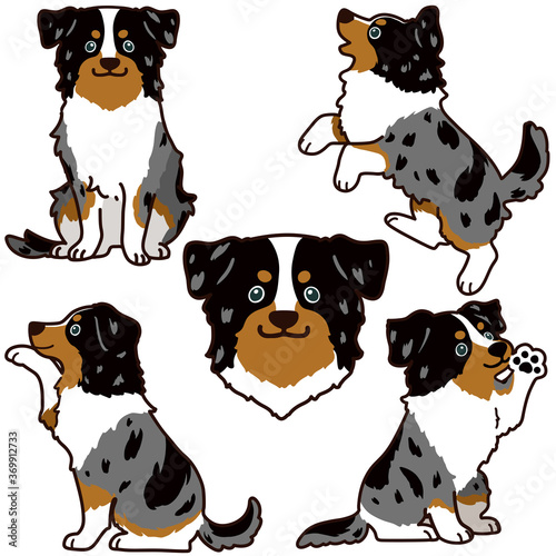 Set of outlined Australian Shepherd illustrations