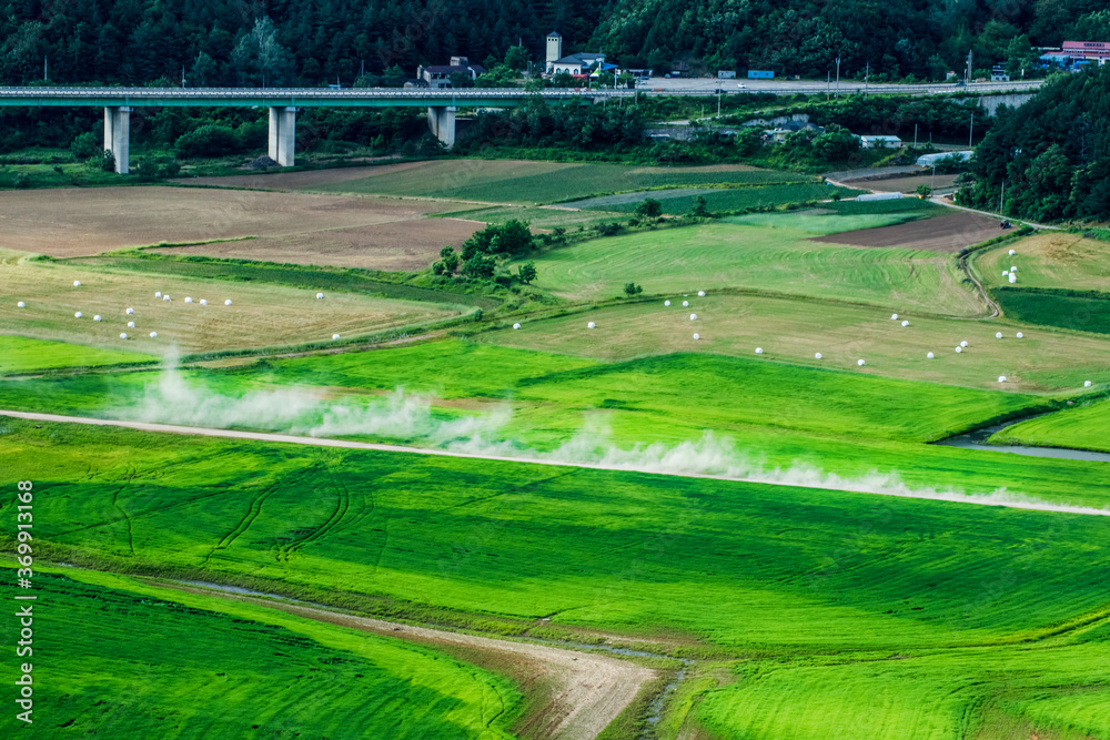 Vehicle driving on unpaved road making dust through the wonderful and beautiful rural scenic landscape,Avena Sativa,Oat green field. Vehicle driving on unpaved road making dust through the wonderful and beautiful rural scenic landscape,Avena Sativa,Oat green field.