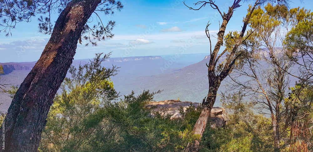 views through the trees in blue mountains national park