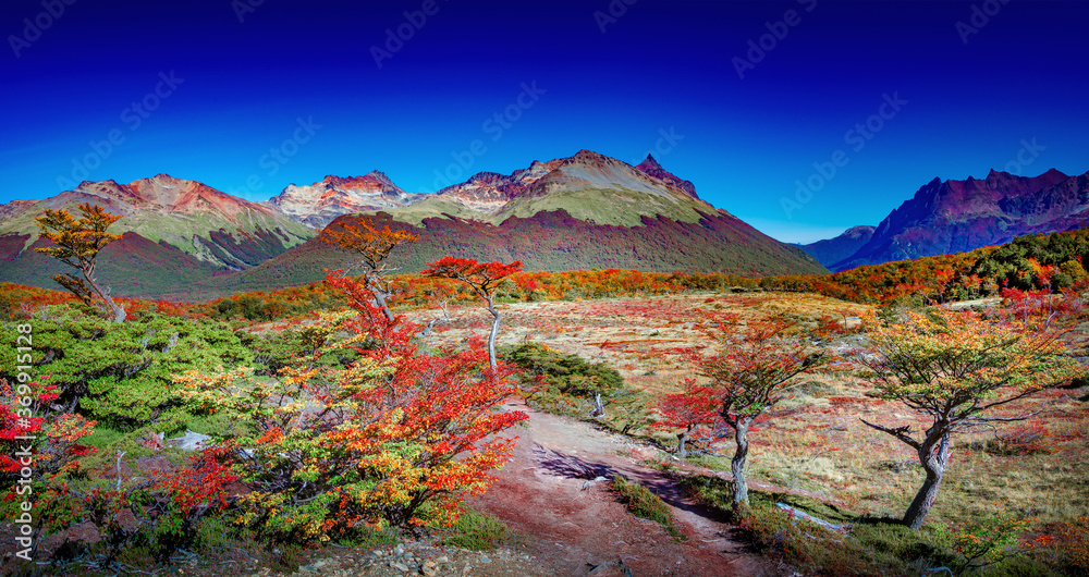 Panoramic view over magical colorful valley with austral forests, peatbogs, dead trees, glacial streams and high mountains in Tierra del Fuego National Park, Patagonia, Argentina