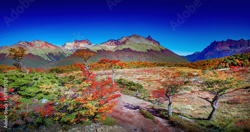 Panoramic view over magical colorful valley with austral forests, peatbogs, dead trees, glacial streams and high mountains in Tierra del Fuego National Park, Patagonia, Argentina