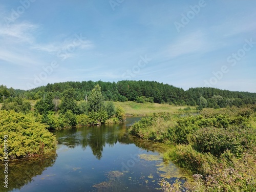 Fototapeta Naklejka Na Ścianę i Meble -  greenery grass and forest near the pond on a sunny day against the blue sky