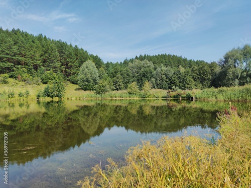 reflection of green trees on the surface of a lake on a sunny day