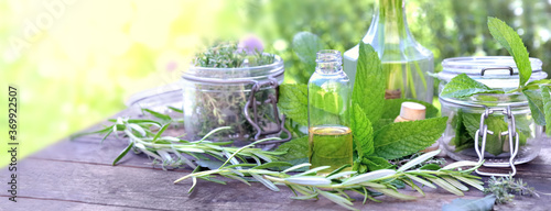 leaf of aromatic plant with glass jar and oil in a bottle arranged on a table...
