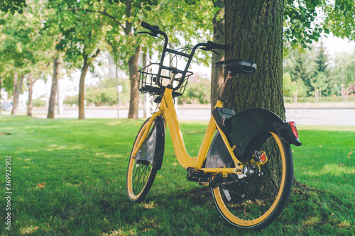 Yellow city bike for rent on the background of the park.