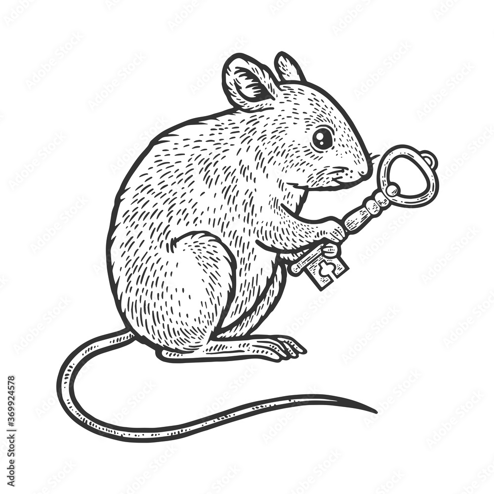 mouse with key sketch raster illustration mouse with key sketch raster illustration