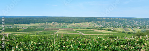 Panorama shot of nature of Moldova