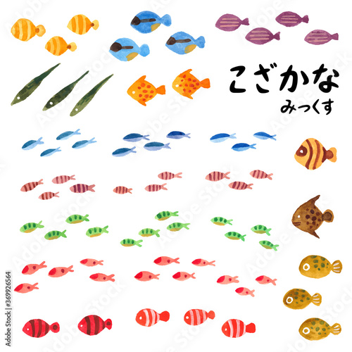こざかなみっくす
