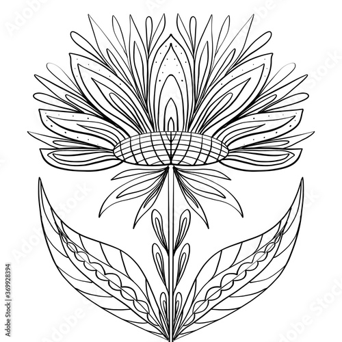Flower with patterns and ornaments for coloring design of books brochures websites Antistress doodles stress relief color therapy
