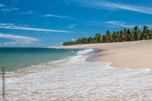 Gunga Beach - Alagoas - Maceio - Brazil