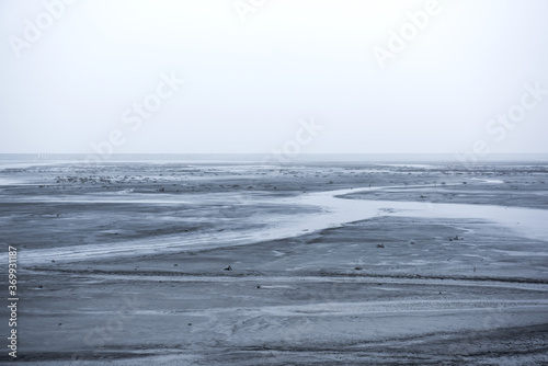 The beautiful and curious tidal mud flat.