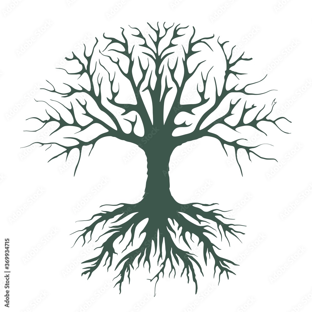 Fototapeta premium dried tree vector illustration