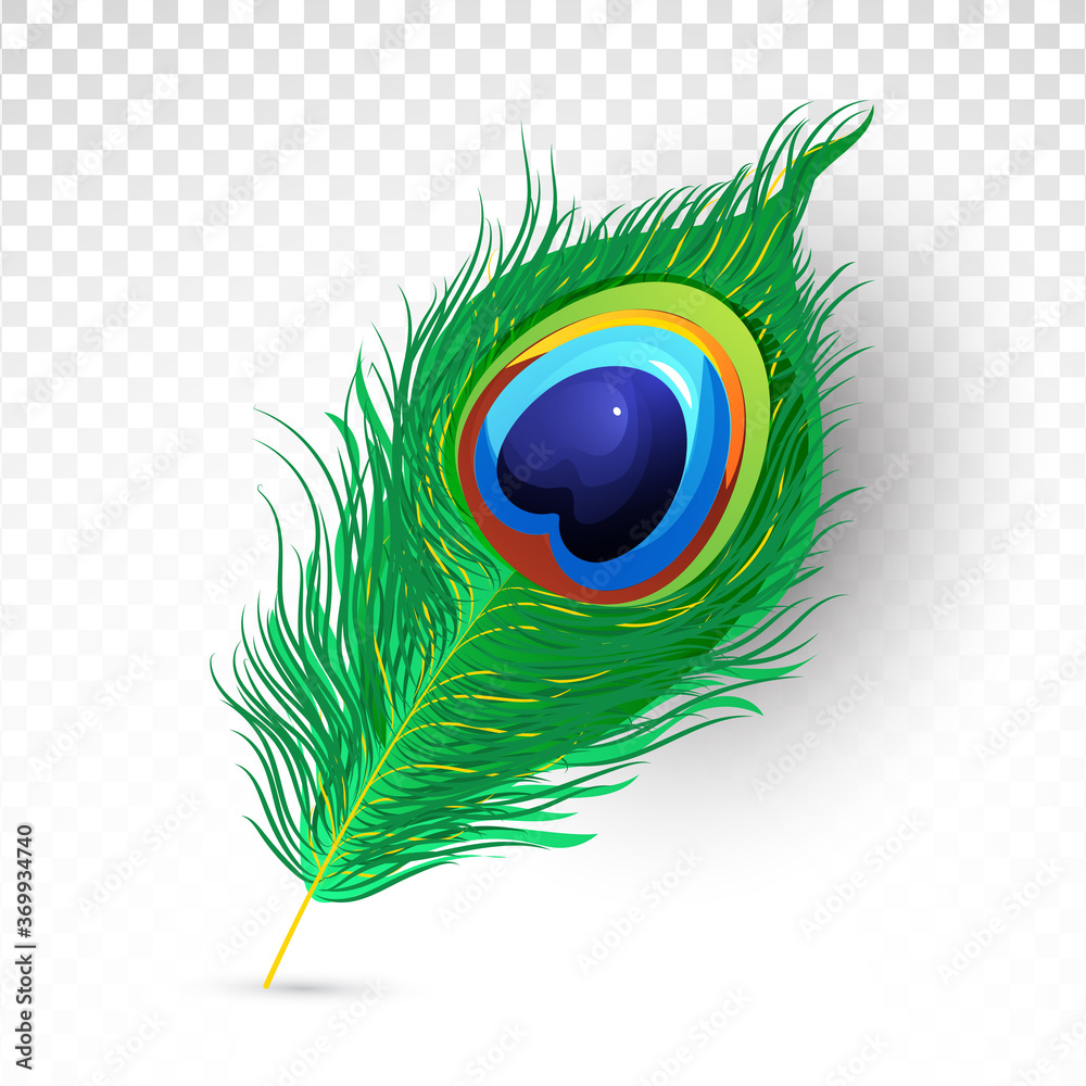 Realistic beautiful peacock feather illustration on Transparent png  background. Stock Vector | Adobe Stock