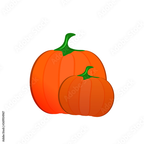 pumpkin isolated on white background