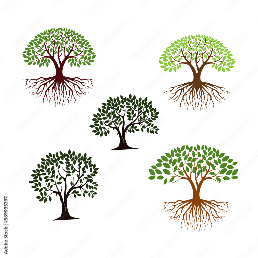 Mangrove Tree Vector Collection Isolated On White. Tree Of Life Logo 