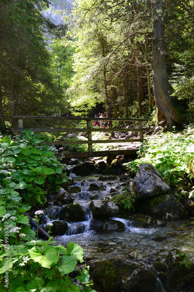 Obraz premium Beautiful mountain brook running along the Strazyska Valley in Tatra Mountains, Podhale, Poland. Trail to Strazyska glade / clearing, Tatra National Park