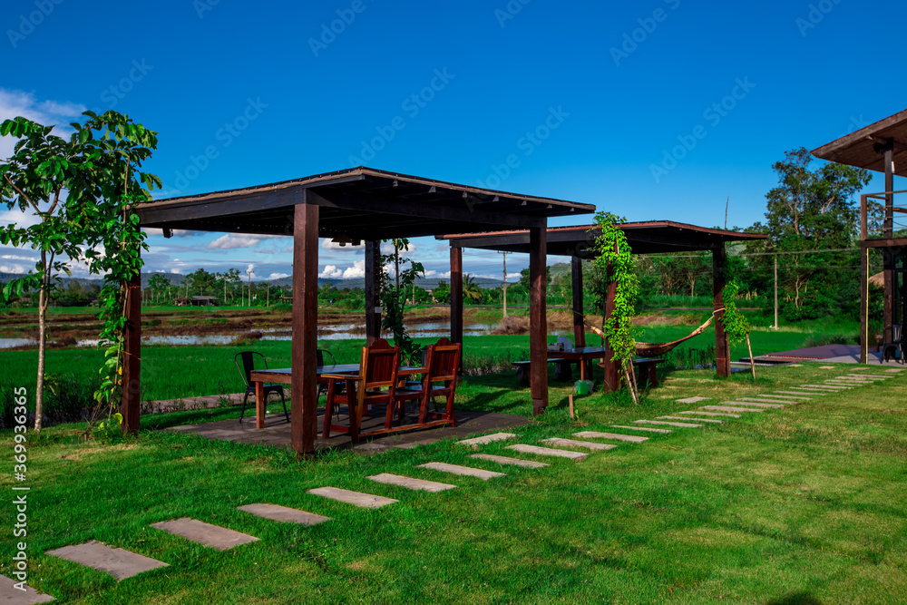 The panoramic background of the green rice fields, with wooden bridges to walk in the scenery and the wind blows through the cool blurred while traveling. The panoramic background of the green rice fields, with wooden bridges to walk in the scenery and the wind blows through the cool blurred while traveling.