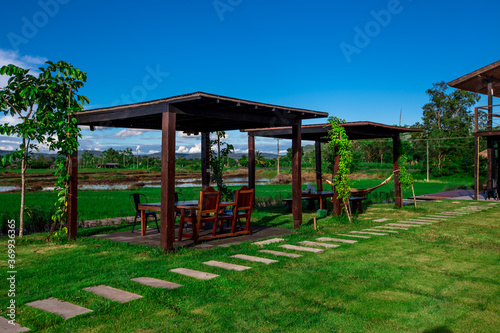 The panoramic background of the green rice fields, with wooden bridges to walk in the scenery and the wind blows through the cool blurred while traveling.